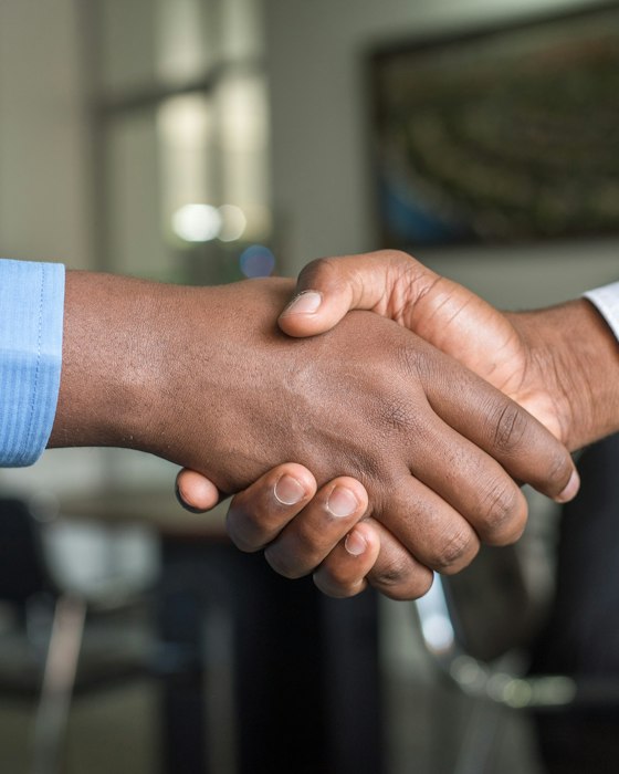 Two people shaking hands